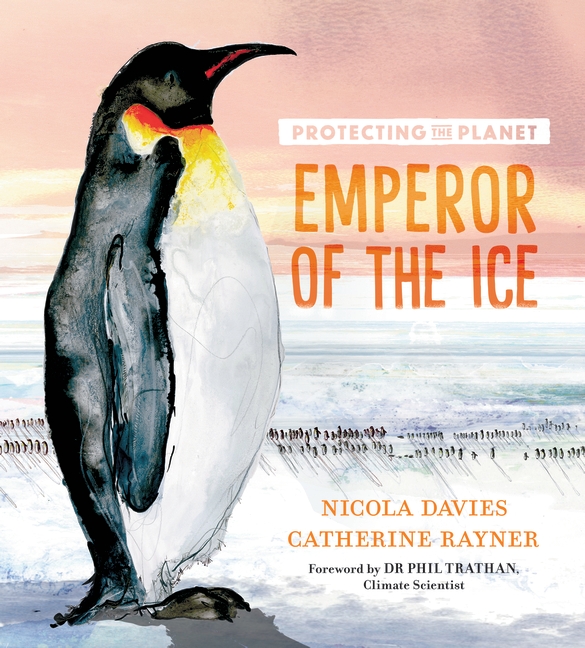 Emperor of the Ice by Nicola DaviesThe power of the picture book by Pauline Tait Author
